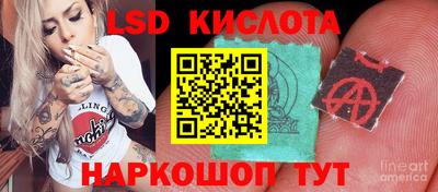 синтетический гашиш Сланцы
