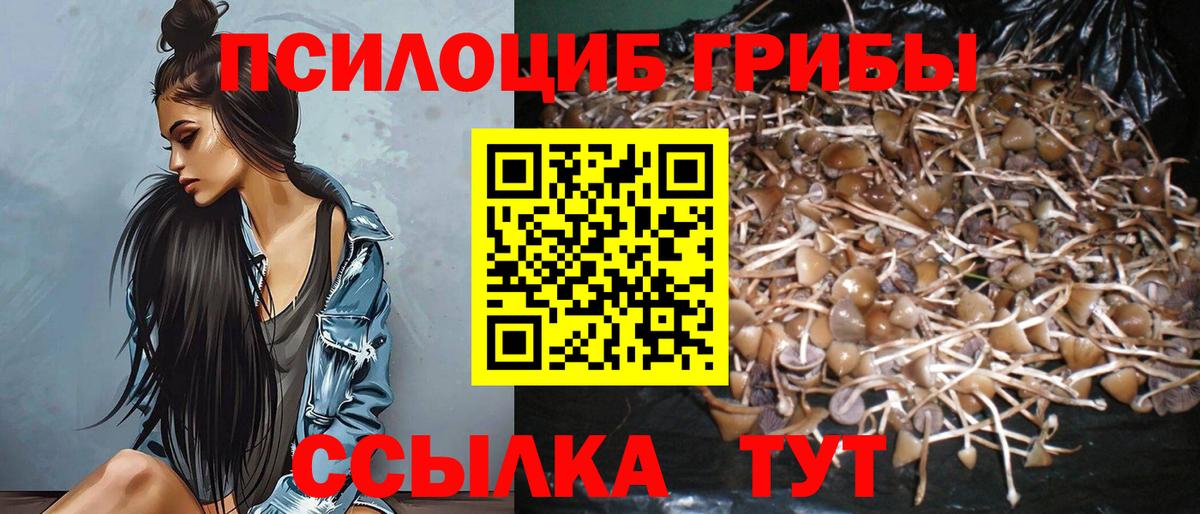 Галлюциногенные грибы мицелий Назрань