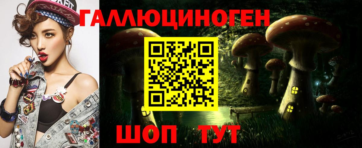Назрань  Псилоцибиновые грибы MAGIC MUSHROOMS  где купить наркоту  Галлюциногенные грибы Psilocybine cubensis  Вход с VPN 